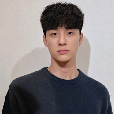 댄디컷