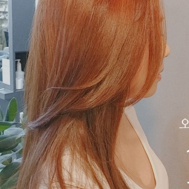 오렌지브라운