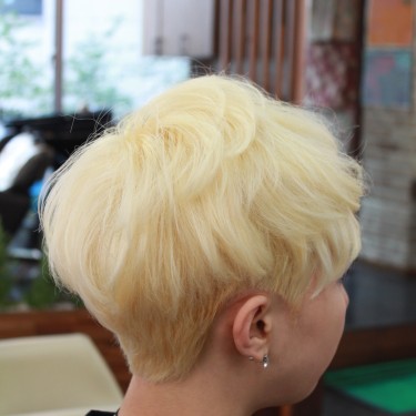 픽시컷