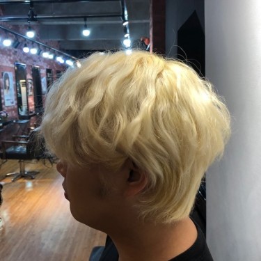 브릿지