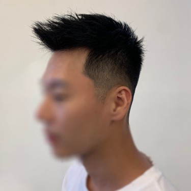 댄디컷